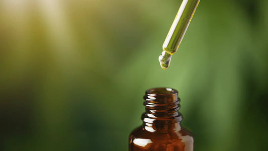 10 Reasons to Choose BCP over CBD