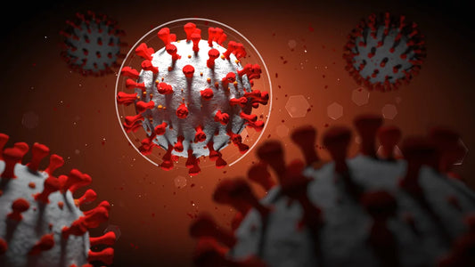 The Role of BCP in Potentially Managing COVID-19 Symptoms