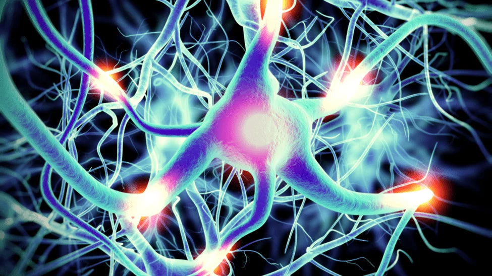 Nerve Pain Relief: Exploring BCP’s Role in Neuropathic Pain Management