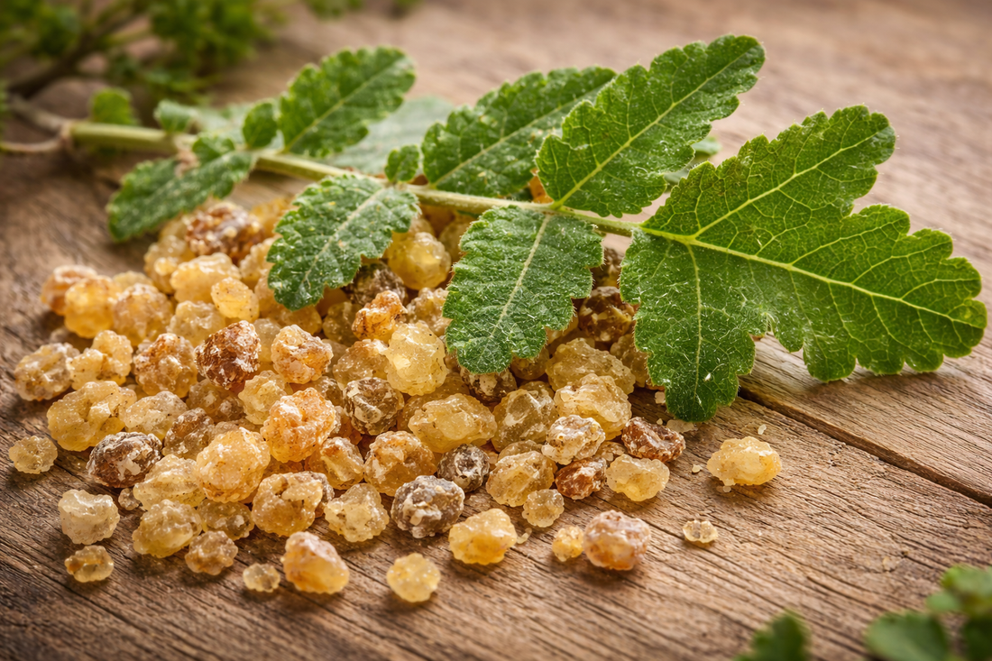 How Boswellia Compound, AKBA, Reduces Inflammation